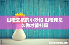 山楂去核的小妙招 山楂球怎么做才能挂霜