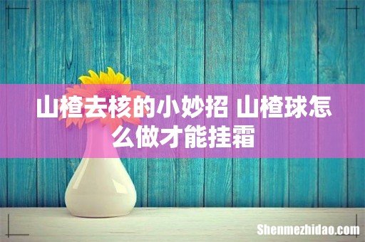 山楂去核的小妙招 山楂球怎么做才能挂霜