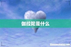 伽拉陀是什么