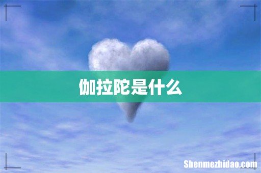 伽拉陀是什么