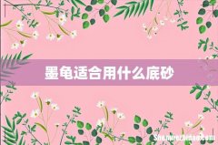 墨龟适合用什么底砂