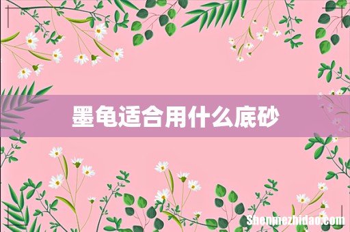 墨龟适合用什么底砂