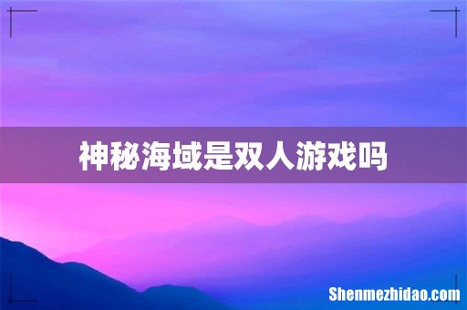 神秘海域是双人游戏吗