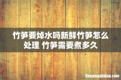 竹笋要焯水吗新鲜竹笋怎么处理 竹笋需要煮多久
