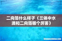 三体中水滴和二向箔哪个厉害 二向箔什么样子
