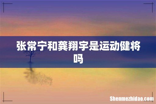 张常宁和龚翔宇是运动健将吗
