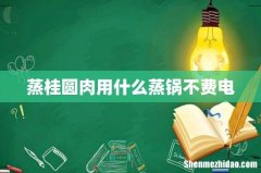 蒸桂圆肉用什么蒸锅不费电