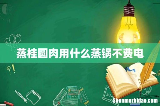 蒸桂圆肉用什么蒸锅不费电
