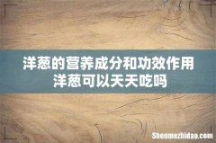 洋葱的营养成分和功效作用 洋葱可以天天吃吗