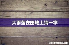 大雨落在田地上猜一字