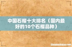国内最好的10个石榴品种 中国石榴十大排名