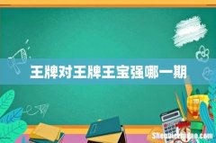 王牌对王牌王宝强哪一期