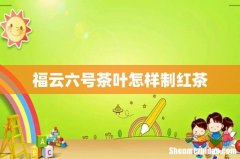 福云六号茶叶怎样制红茶