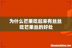 为什么芒果吃起来有丝丝 吃芒果丝的好处