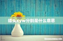 插头xyw分别是什么意思