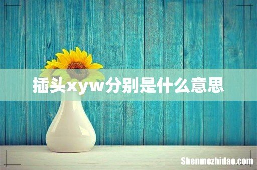 插头xyw分别是什么意思