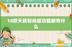 18款天籁智尚版功能都有什么