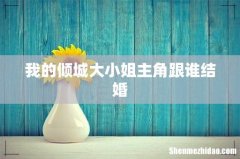 我的倾城大小姐主角跟谁结婚