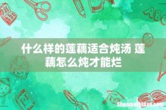什么样的莲藕适合炖汤 莲藕怎么炖才能烂