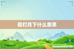 孤灯月下什么意思