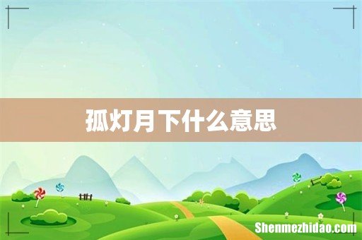 孤灯月下什么意思