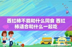 西红柿不能和什么同食 西红柿适合和什么一起吃