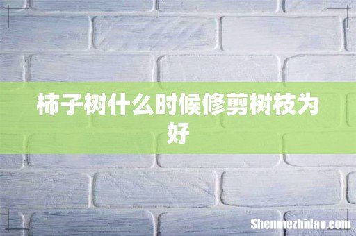 柿子树什么时候修剪树枝为好