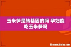玉米笋是转基因的吗 孕妇能吃玉米笋吗
