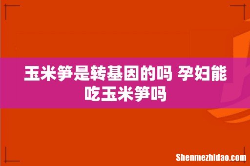 玉米笋是转基因的吗 孕妇能吃玉米笋吗