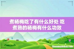 煮杨梅吃了有什么好处 吃煮熟的杨梅有什么功效