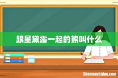 跟星黛露一起的熊叫什么