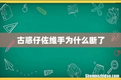 古惑仔佐维手为什么断了