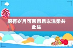 愿有岁月可回首且以温柔共此生