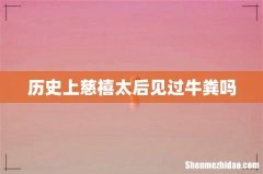 历史上慈禧太后见过牛粪吗