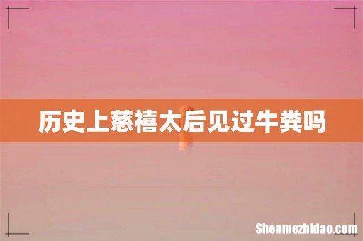 历史上慈禧太后见过牛粪吗