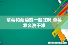 草莓和葡萄能一起吃吗 草莓怎么洗干净