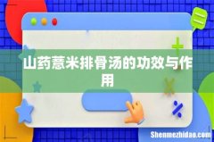 山药薏米排骨汤的功效与作用