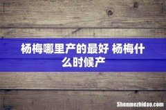 杨梅哪里产的最好 杨梅什么时候产