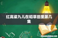 红高粱九儿在稻草田里第几集
