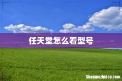 任天堂怎么看型号