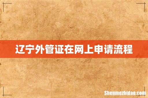 辽宁外管证在网上申请流程