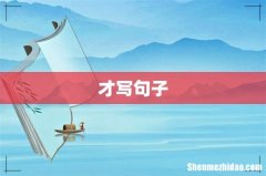 才写句子
