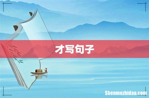 才写句子