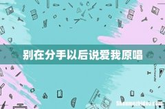 别在分手以后说爱我原唱