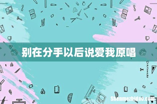 别在分手以后说爱我原唱