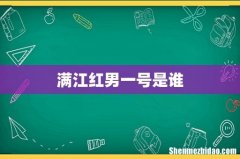 满江红男一号是谁