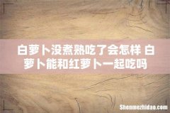 白萝卜没煮熟吃了会怎样 白萝卜能和红萝卜一起吃吗