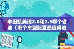 哪个车型配置最值得选 丰田凯美瑞2.0和2.5哪个省油
