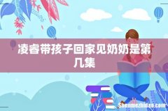 凌睿带孩子回家见奶奶是第几集