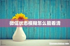 微信状态模糊怎么能看清